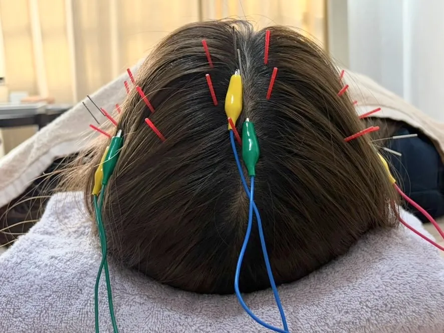 【睡眠の質・不眠・朝の重だるさ】